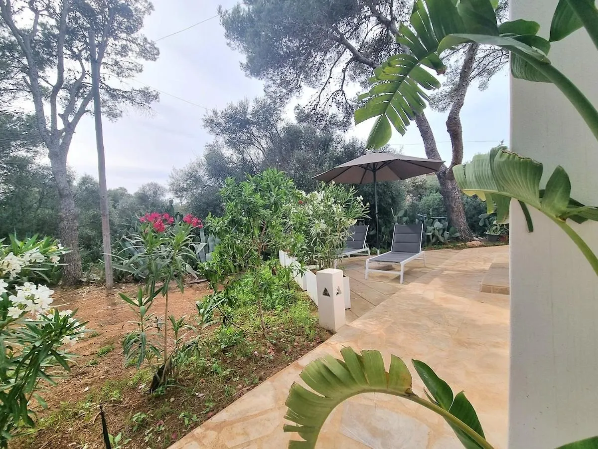 Casa Lesandar Ferienhaus Auf Mallorca Felanitx 0*,